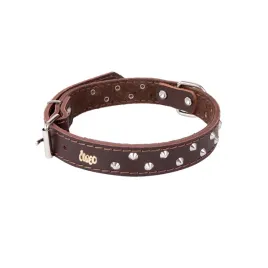 obroza-ozdobna-ze-skory-podszyta-filcem-classic-brazowy-44-55-cm