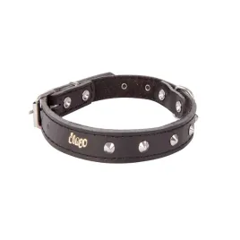 obroza-ozdobna-ze-skory-podszyta-filcem-classic-czarny-19-23-cm