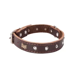 obroza-ozdobna-ze-skory-podszyta-filcem-classic-brazowy-29-33-cm