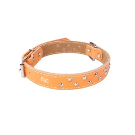 obroza-ozdobna-ze-skory-podszyta-filcem-classic-naturalny-44-55-cm
