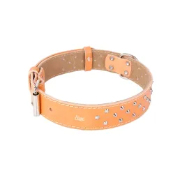obroza-ozdobna-ze-skory-podszyta-filcem-classic-naturalny-52-63-cm
