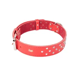 obroza-ozdobna-ze-skory-podszyta-filcem-classic-czerwony-56-72-cm
