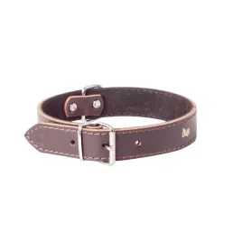 obroza-ze-skory-dla-psa-classic-brazowy-40-45-cm