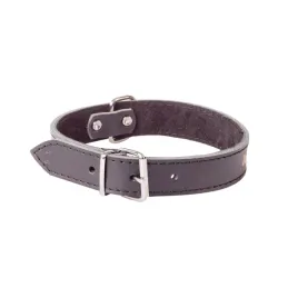obroza-ze-skory-dla-psa-classic-czarny-52-62-cm