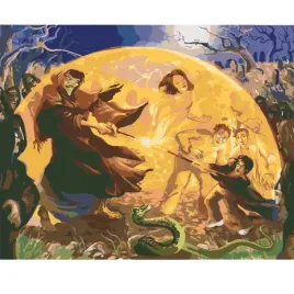 malowanie-po-numerach-z-rama-harry-potter-i-lord-voldemort-50x40-cm