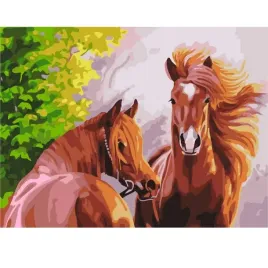 malowanie-po-numerach-z-rama-obrazy-do-malowania-dzikie-konie-50x40-cm
