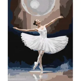 malowanie-po-numerach-z-rama-obrazy-do-malowania-bialy-labedz-40x50-cm