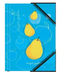 teczka-a4-kartonowa-z-gumka-narozna-gruszka-6szt