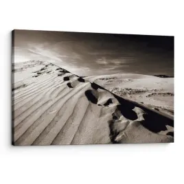 obraz-na-plotnie-canvas-pustynne-wydmy-czarno-biala-fotografia-70x100
