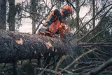 ochronniki-sluchu-do-kaskow-forest-functional-i-technical-model-505665325