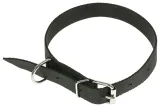obroza-dla-psa-tasma-65cm-25cm