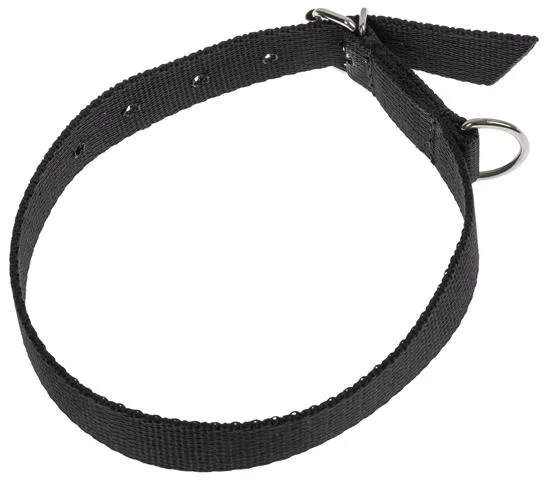 obroza-dla-psa-tasma-50cm-20cm-stan-nowy
