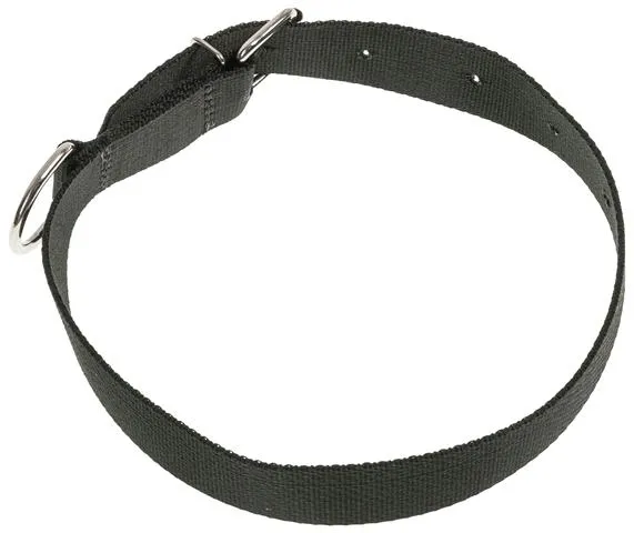 obroza-dla-psa-tasma-70cm-30cm-stan-nowy