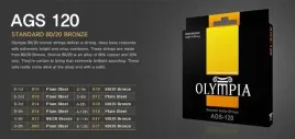 struny-do-gitary-akustycznej-12-strunowej-olympia