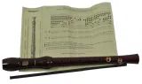 flet-prosty-hohner-9550-c-sopran-kod-producenta-9550