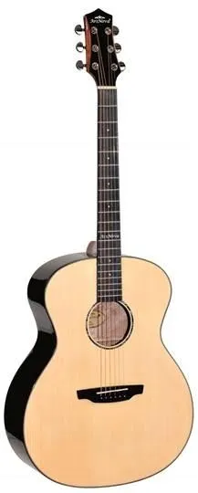gitara-akustyczna-ars-nova-an-805-solid