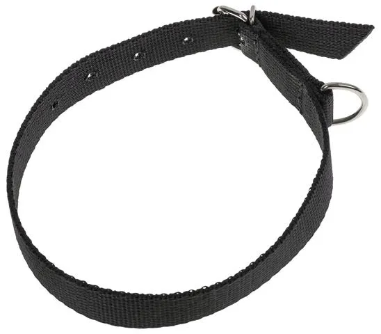 obroza-dla-psa-tasma-50cm-20cm-stan-nowy