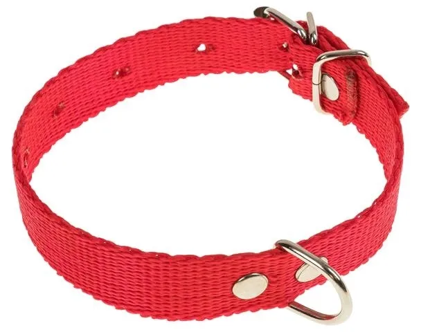 obroza-dla-psa-tasma-32cm-16cm-stan-nowy