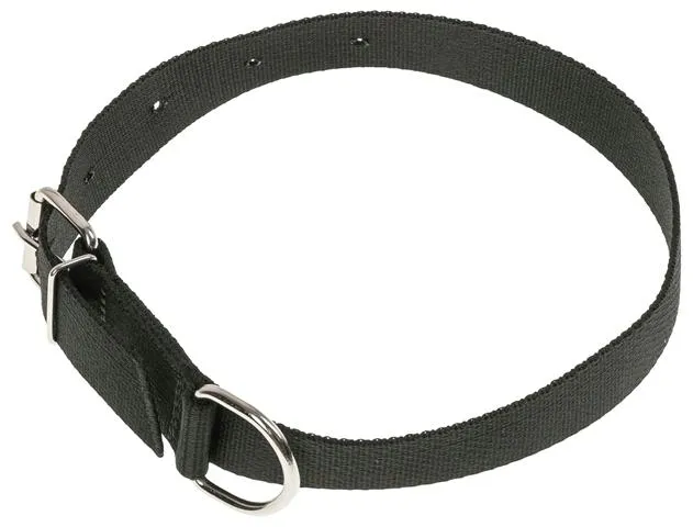 obroza-dla-psa-tasma-70cm-30cm-stan-nowy