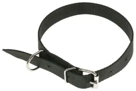 obroza-dla-psa-tasma-65cm-25cm