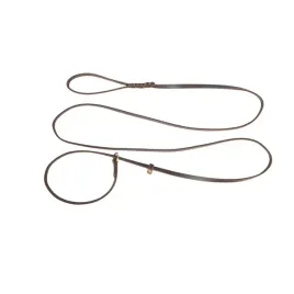 smycz-z-zaciagana-obroza-ze-skory-brazowa-10x250cm