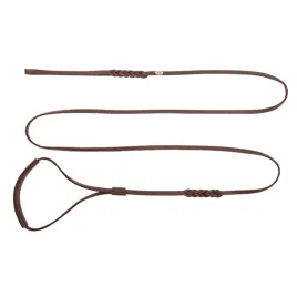 ringowka-ze-skory-na-wystawy-dla-psa-soft-brazowy-10-x-250-cm