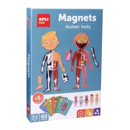 magnetyczna-ukladanka-apli-kids-cialo-czlowieka