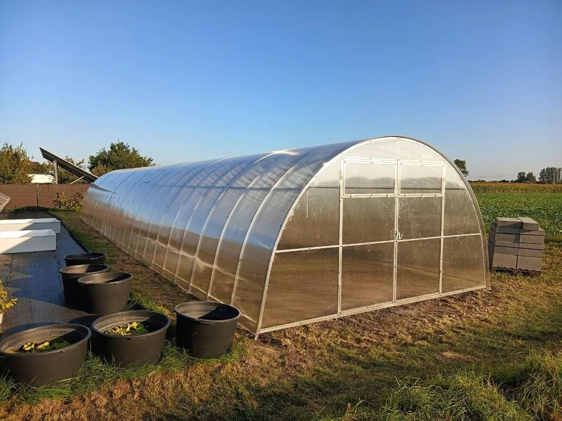 szklarnia-z-poliweglanu-tunel-ogrodowy-4x8-m-profile-40x20-poliweglan-8mm-stan-nowy