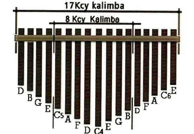 kalimba-ars-nova-wk-17-nmr-stan-nowy