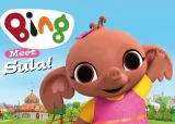 bing-17-30