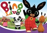 bing-13