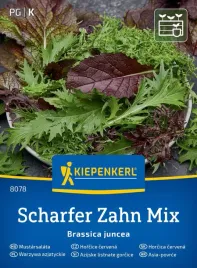 salata-musztardowa-8078-st