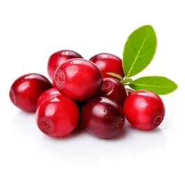 zurawina-wielkoowocowa-pilgrim-sadzonki-najpopularniesza-odmiana