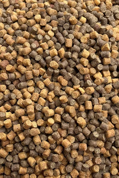 spice-4mm-pellet-feeder-bait-method-feeder-przeznaczenie-amury-karasie-karpie-klenie-leszcze