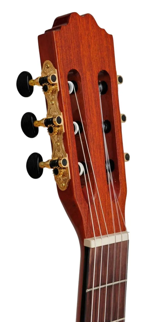 gitara-klasyczna-7-8-zebrano