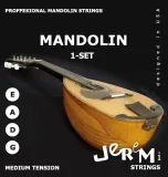 struny-do-mandoliny-jeremi