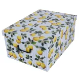 pudelko-kartonowe-maxi-owoce-cytryna