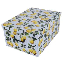 pudelko-kartonowe-maxi-owoce-cytryna