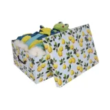 pudelko-kartonowe-maxi-owoce-cytryna