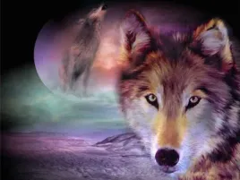 diamond-painting-haft-diamentowy-mozaika-zestaw-5d