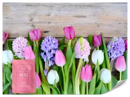 fototapeta-do-salonu-biura-kwiaty-tulipany-hiacynty-natura-rosliny-100x70