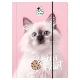 teczka-z-gumka-a4-cleo-i-frank-45-kot-derform