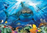 ukladanka-puzzle-white-shark-educa-500-pcs-educa-stan-nowy