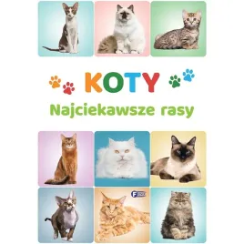 koty-najciekawsze-rasy-album-kotow-z-calego-swiata