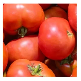 pomidor-malinowy-swiezy-1-kg