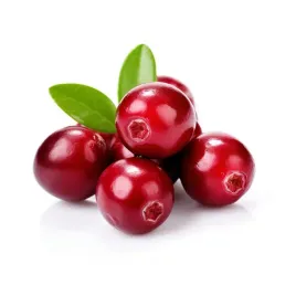 zurawina-wielkoowocowa-stevens-sadzonki-roslina-zimozielona-superowoc