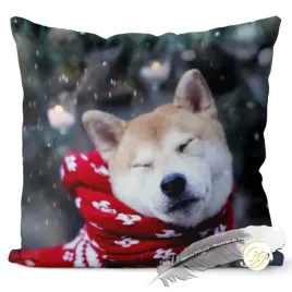 poszewka-3d-bawelna-satyna-40x40cm-husky-syberyjski-i-czerwony-szal