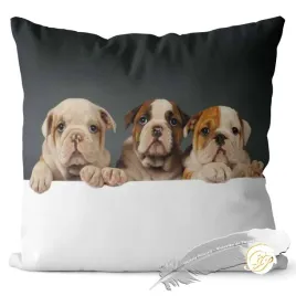 poszewka-3d-bawelna-satyna-40x40cm-maly-buldog