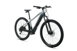 rower-mtb-e-bike-29-kands-holk-szary-polysk-cz-mat-r19-wzrost-175-184-2026