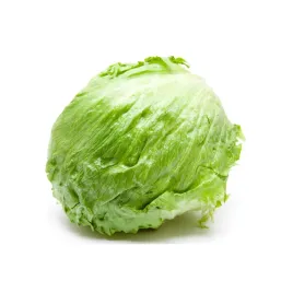 salata-lodowa-1-sztuka